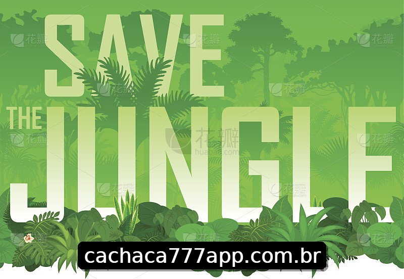 Integração de APIs cachaca777