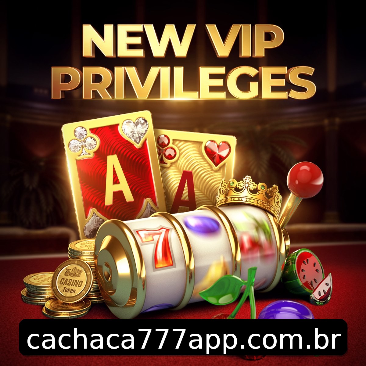 Programa VIP cachaca777